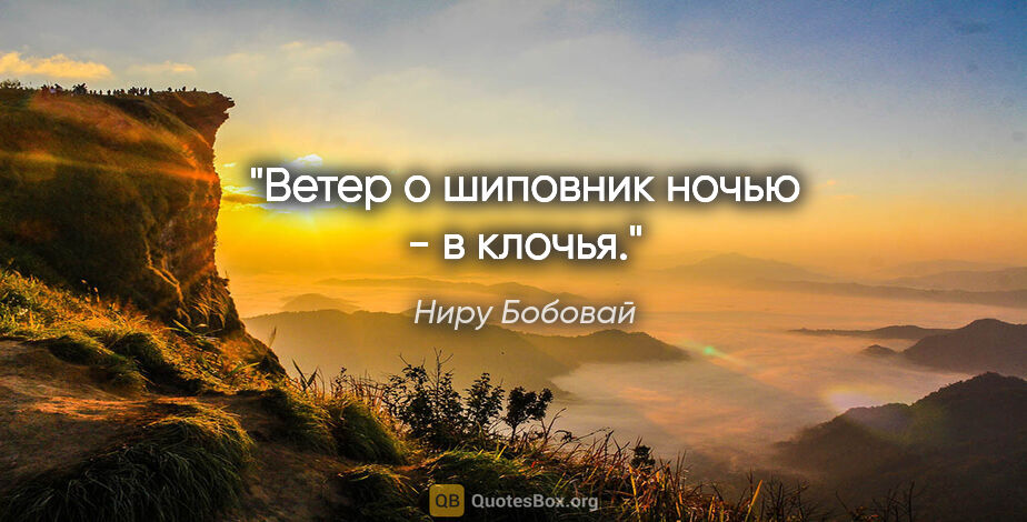 Ниру Бобовай цитата: "Ветер

о шиповник

ночью -

в клочья."