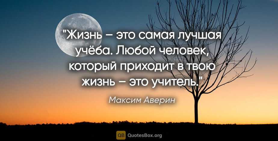 Максим Аверин цитата: "Жизнь – это самая лучшая учёба. Любой человек, который..."