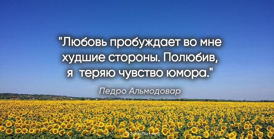 Педро Альмодовар цитата: "Любовь пробуждает во мне худшие стороны. Полюбив, я теряю..."