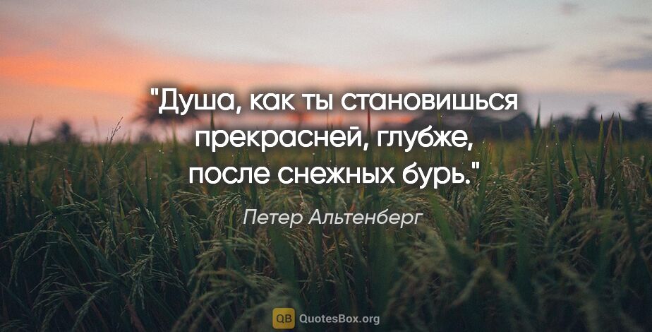 Петер Альтенберг цитата: "Душа, как ты становишься прекрасней, глубже, после снежных бурь."