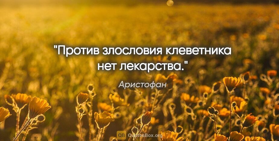 Аристофан цитата: "Против злословия клеветника нет лекарства."