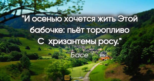 Басе цитата: "И осенью хочется жить

Этой бабочке: пьёт..."