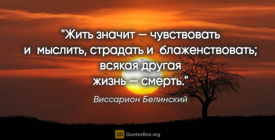 Виссарион Белинский цитата: "Жить значит — чувствовать и мыслить, страдать..."