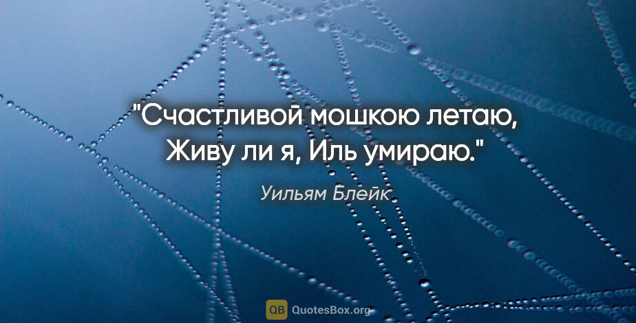 Уильям Блейк цитата: "Счастливой мошкою летаю,

Живу ли я,

Иль умираю."