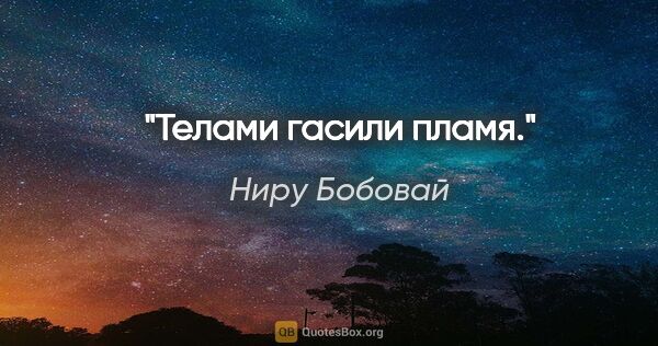 Ниру Бобовай цитата: "Телами

гасили пламя."