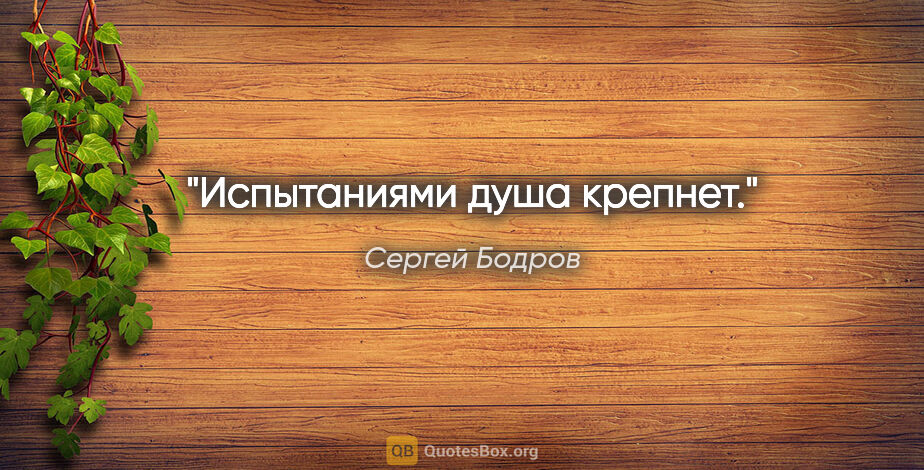 Сергей Бодров цитата: "Испытаниями душа крепнет."