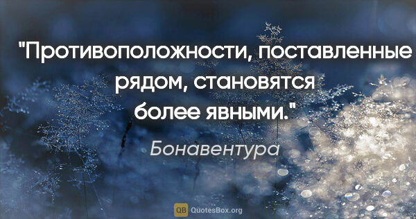 Бонавентура цитата: "Противоположности, поставленные рядом, становятся более явными."