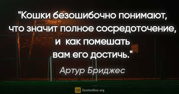 Артур Бриджес цитата: "Кошки безошибочно понимают, что значит полное сосредоточение,..."