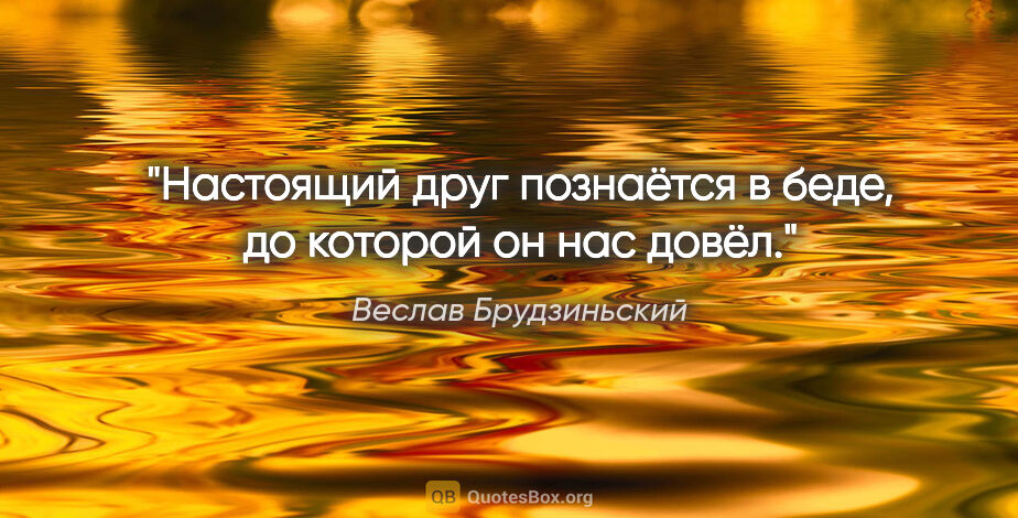 Веслав Брудзиньский цитата: "Настоящий друг познаётся в беде, до которой он нас довёл."