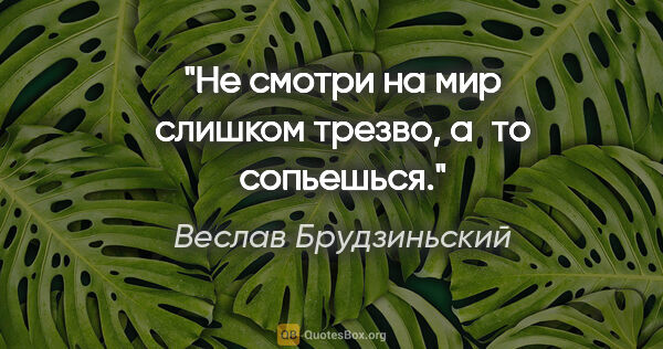 Веслав Брудзиньский цитата: "Не смотри на мир слишком трезво, а то сопьешься."