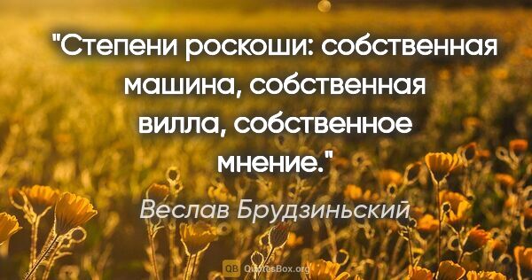 Веслав Брудзиньский цитата: "Степени роскоши: собственная машина, собственная вилла,..."