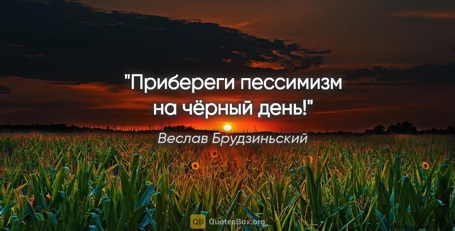 Веслав Брудзиньский цитата: "Прибереги пессимизм на чёрный день!"