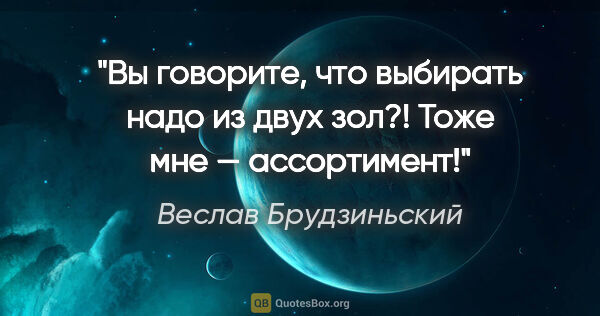 Веслав Брудзиньский цитата: "Вы говорите, что выбирать надо из двух зол?! Тоже мне —..."