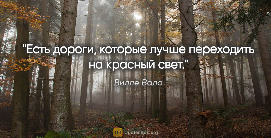 Вилле Вало цитата: "Есть дороги, которые лучше переходить на красный свет."