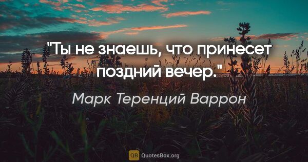 Марк Теренций Варрон цитата: "Ты не знаешь, что принесет поздний вечер."