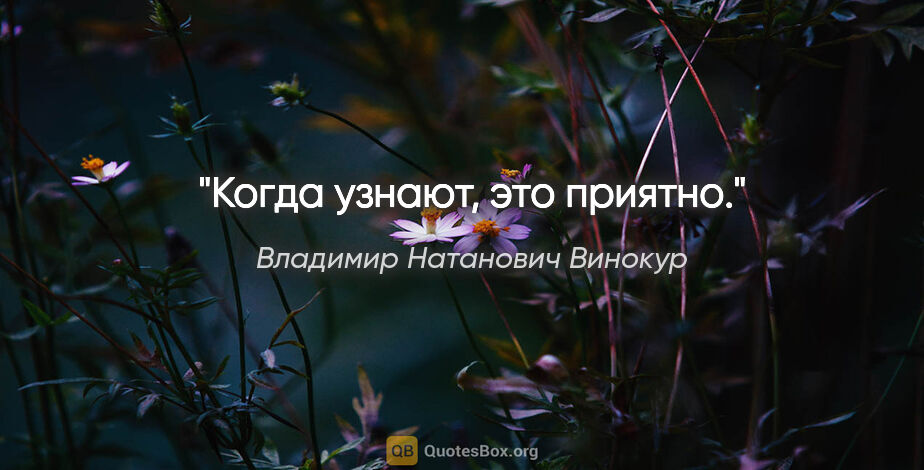 Владимир Натанович Винокур цитата: "Когда узнают, это приятно."