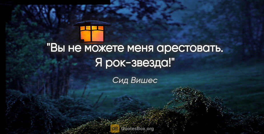 Сид Вишес цитата: "Вы не можете меня арестовать. Я рок-звезда!"