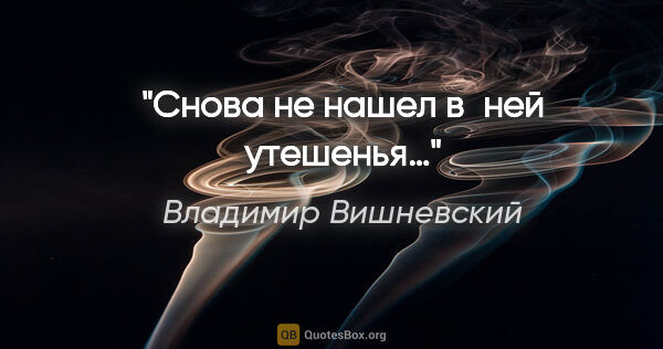 Владимир Вишневский цитата: "Cнова не нашел в ней утешенья…"