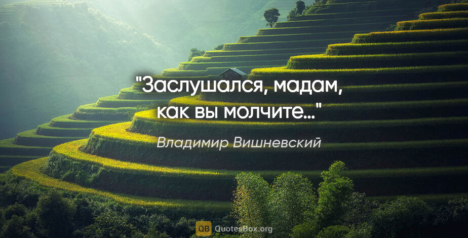 Владимир Вишневский цитата: "Заслушался, мадам, как вы молчите…"