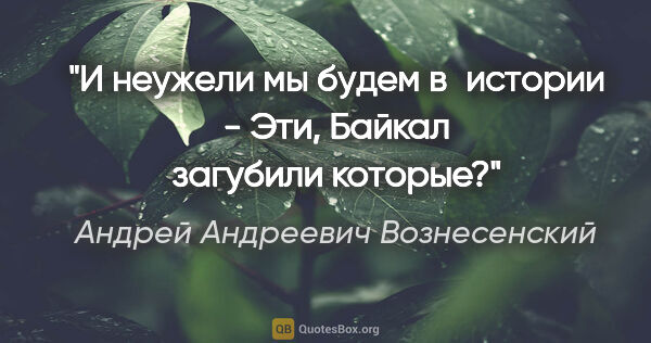 Андрей Андреевич Вознесенский цитата: "И неужели мы будем в истории -

«Эти, Байкал загубили которые»?"