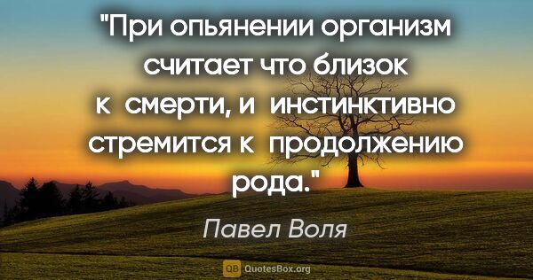 Павел Воля цитата: "При опьянении организм считает что близок к смерти,..."