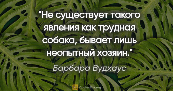 Барбара Вудхаус цитата: "Не существует такого явления как трудная собака, бывает лишь..."