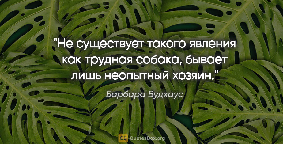 Барбара Вудхаус цитата: "Не существует такого явления как трудная собака, бывает лишь..."