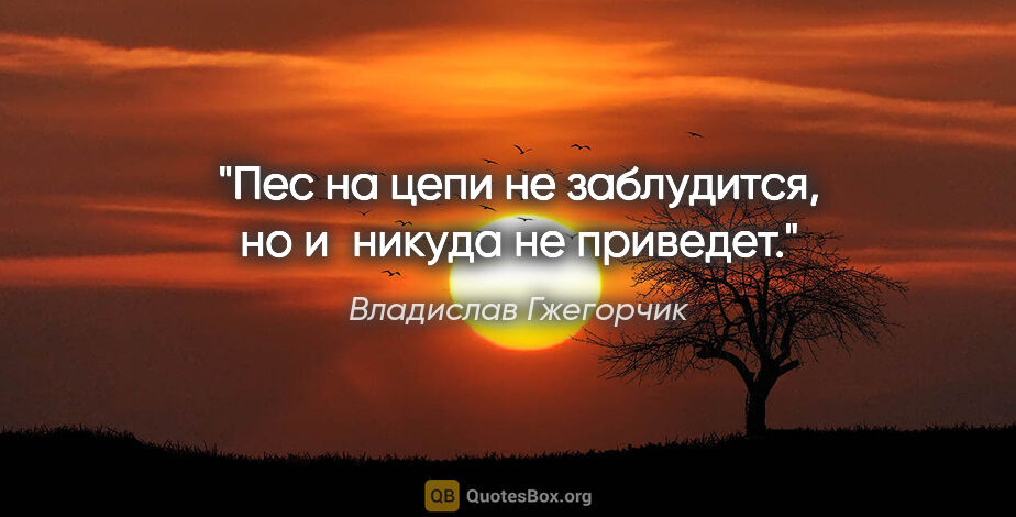 Владислав Гжегорчик цитата: "Пес на цепи не заблудится, но и никуда не приведет."