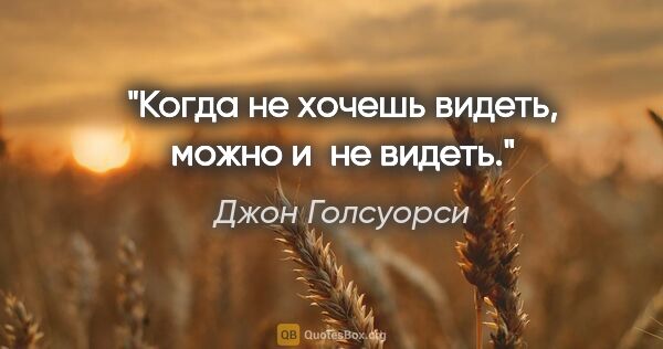 Джон Голсуорси цитата: "Когда не хочешь видеть, можно и не видеть."