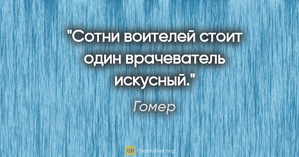 Гомер цитата: "Сотни воителей стоит один врачеватель искусный."