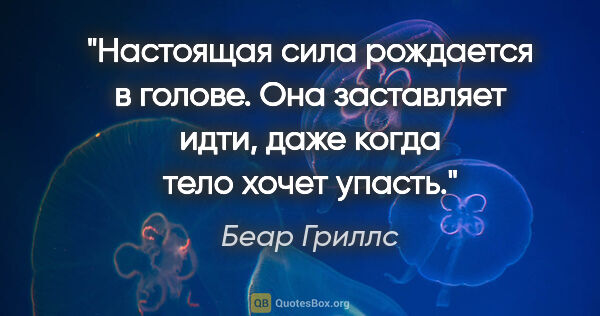 Беар Гриллс цитата: "Настоящая сила рождается в голове. Она заставляет идти, даже..."