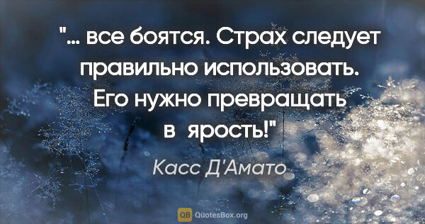 Касс Д'Амато цитата: "… все боятся. Страх следует правильно использовать. Его нужно..."