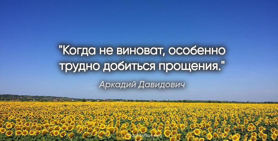 Аркадий Давидович цитата: "Когда не виноват, особенно трудно добиться прощения."