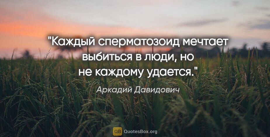 Аркадий Давидович цитата: "Каждый сперматозоид мечтает выбиться в люди, но не каждому..."