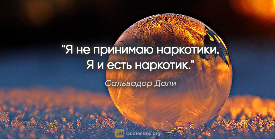 Сальвадор Дали цитата: "Я не принимаю наркотики. Я и есть наркотик."