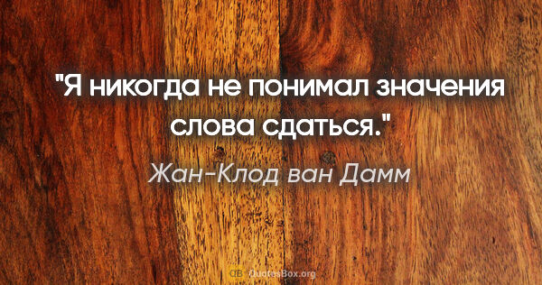 Жан-Клод ван Дамм цитата: "Я никогда не понимал значения слова «сдаться»."