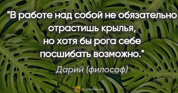 Дарий (философ) цитата: "В работе над собой не обязательно отрастишь крылья, но хотя бы..."