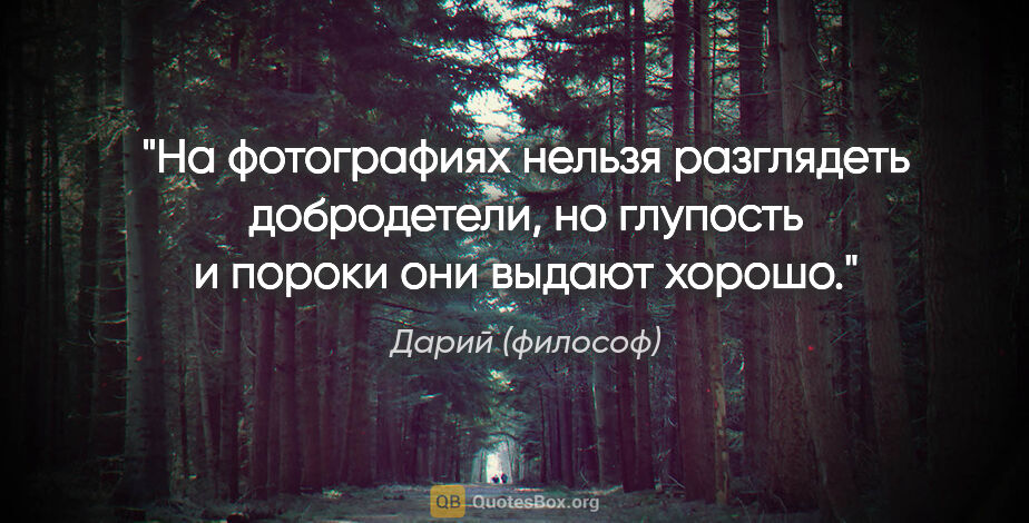 Дарий (философ) цитата: "На фотографиях нельзя разглядеть добродетели, но глупость..."