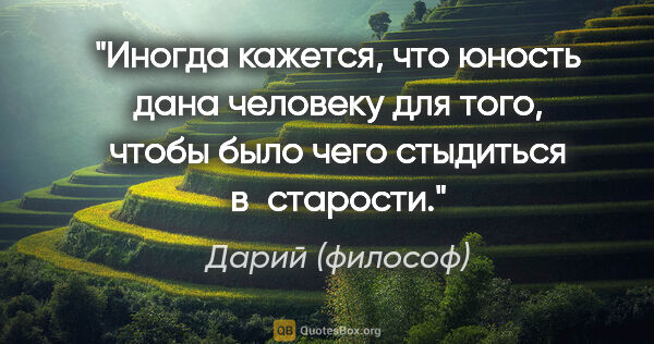 Дарий (философ) цитата: "Иногда кажется, что юность дана человеку для того, чтобы было..."