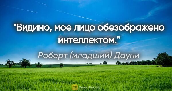 Роберт (младший) Дауни цитата: "Видимо, мое лицо обезображено интеллектом."