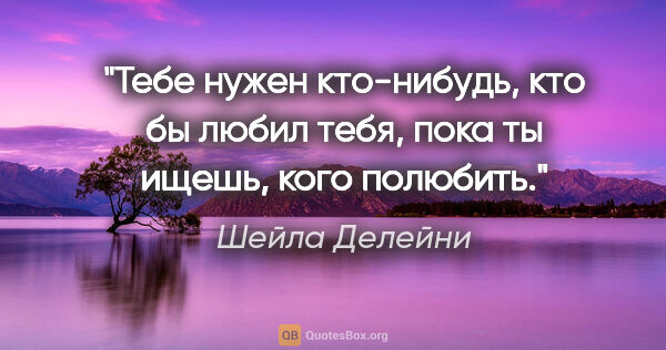 Шейла Делейни цитата: "Тебе нужен кто-нибудь, кто бы любил тебя, пока ты ищешь, кого..."