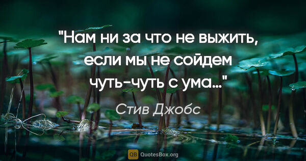 Стив Джобс цитата: "Нам ни за что не выжить, если мы не сойдем чуть-чуть с ума…"