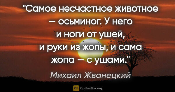 Михаил Жванецкий цитата: "Самое несчастное животное — осьминог. У него и ноги от ушей,..."