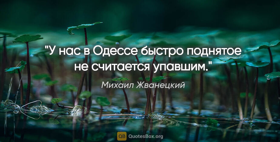 Михаил Жванецкий цитата: "У нас в Одессе быстро поднятое не считается упавшим."