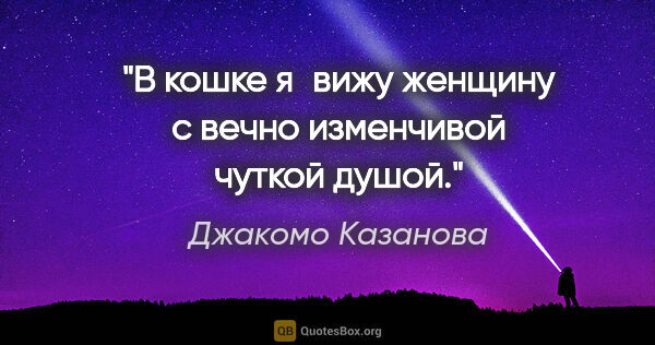Джакомо Казанова цитата: "В кошке я вижу женщину с вечно изменчивой чуткой душой."