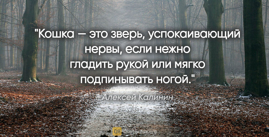 Алексей Калинин цитата: "Кошка — это зверь, успокаивающий нервы, если нежно гладить..."