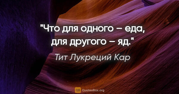 Тит Лукреций Кар цитата: "Что для одного – еда, для другого – яд."