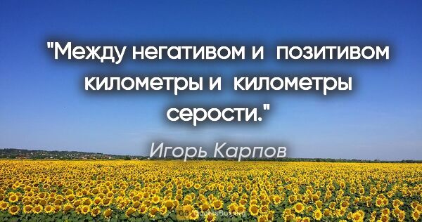 Игорь Карпов цитата: "Между негативом и позитивом километры и километры серости."