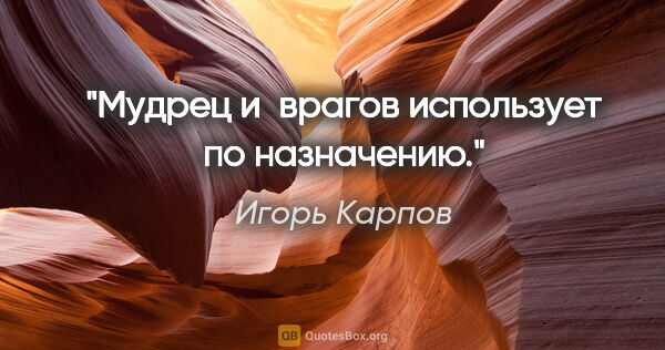 Игорь Карпов цитата: "Мудрец и врагов использует по назначению."