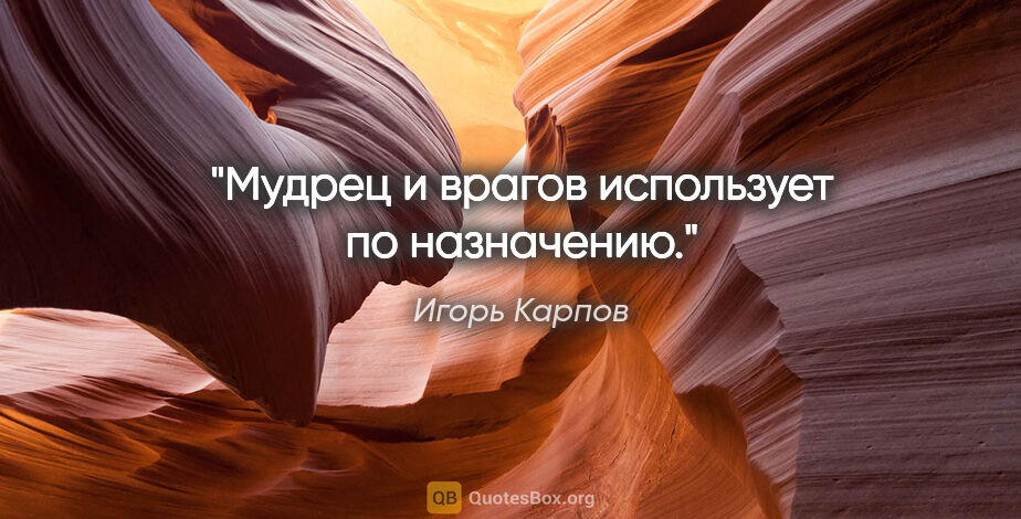 Игорь Карпов цитата: "Мудрец и врагов использует по назначению."